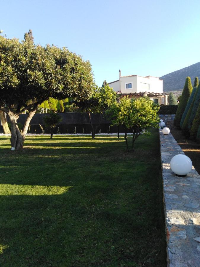 Golden Crest Villa Hersonissos  Exteriör bild